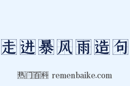走进暴风雨造句是什么意思的图片
